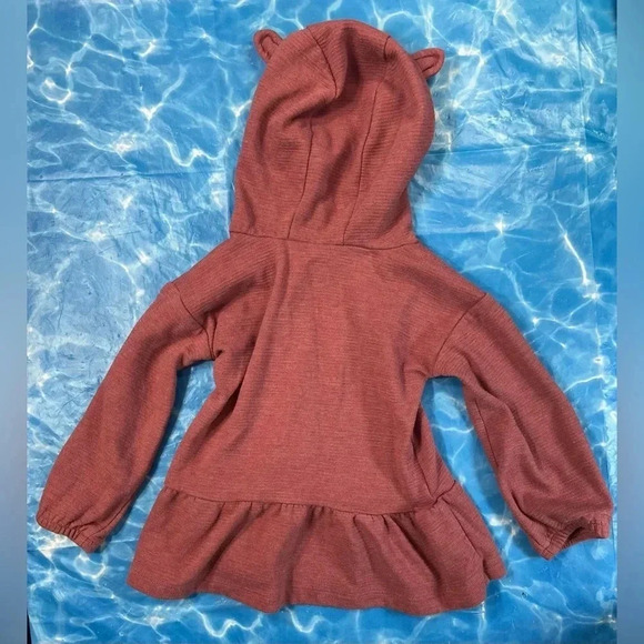 Carter's Child of Mine - 2T - Burgundy-ish Long Sleeve Top w/ Hood  + Ears - Picture 3 of 3